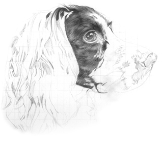 Tia stage2